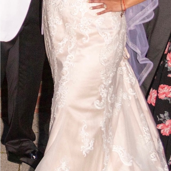 Maggie Sottero Clarette wedding gown - Picture 4 of 5